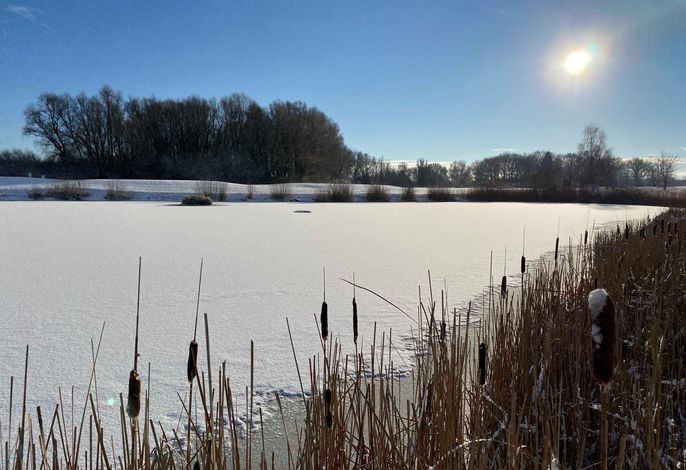 Bild 19