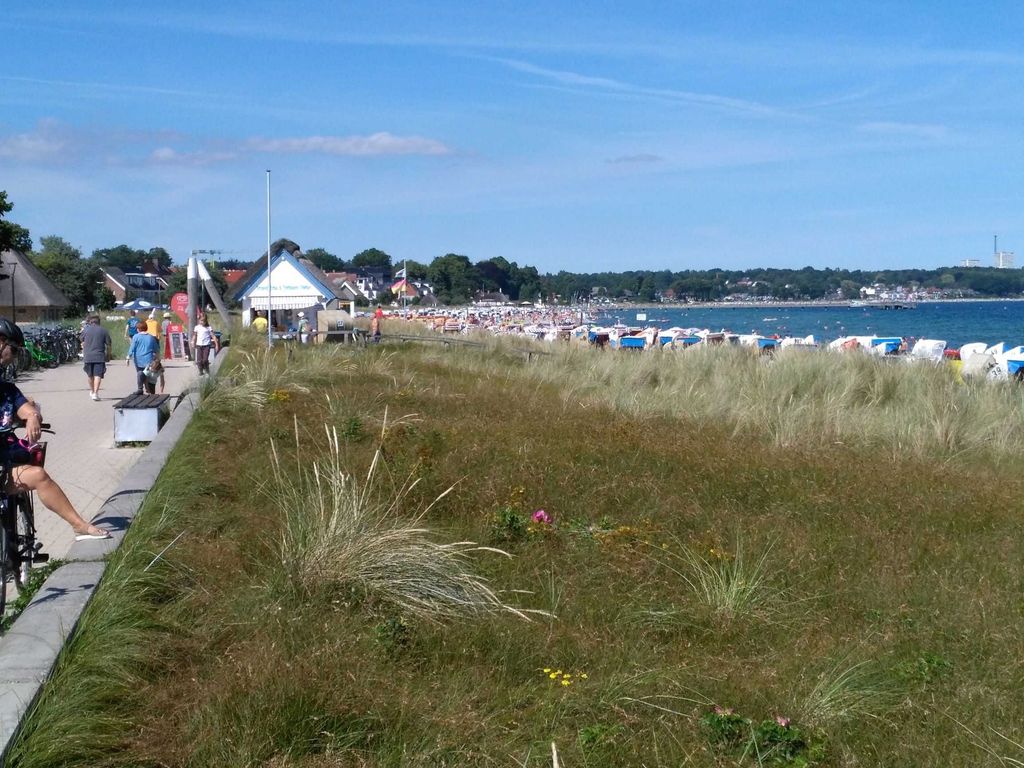 Dünen