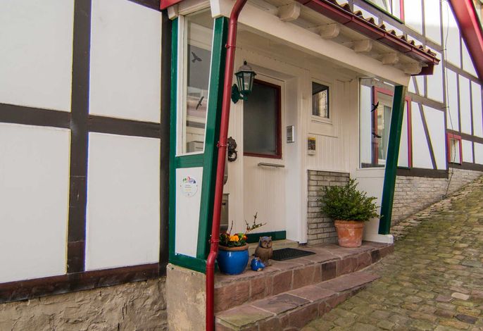 Bild 7