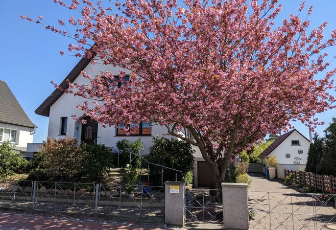 Bild 46