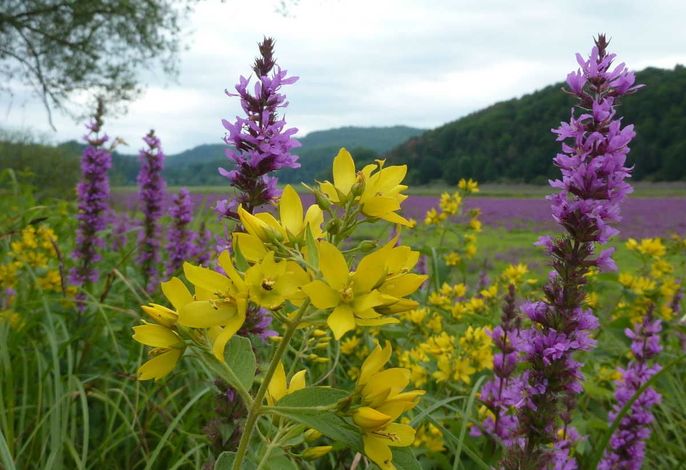 Bild 14