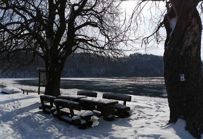 Bild 19