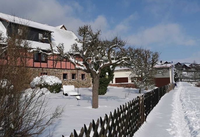 Bild 15