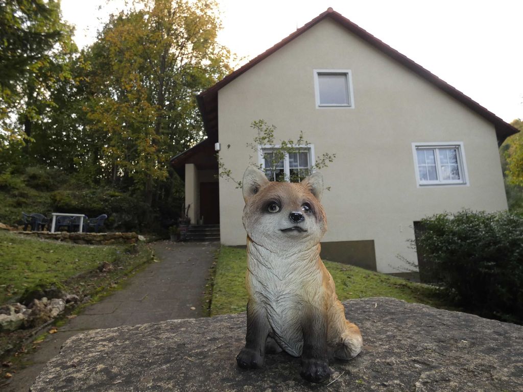 Goldener Fuchs grüßt seine Gäste