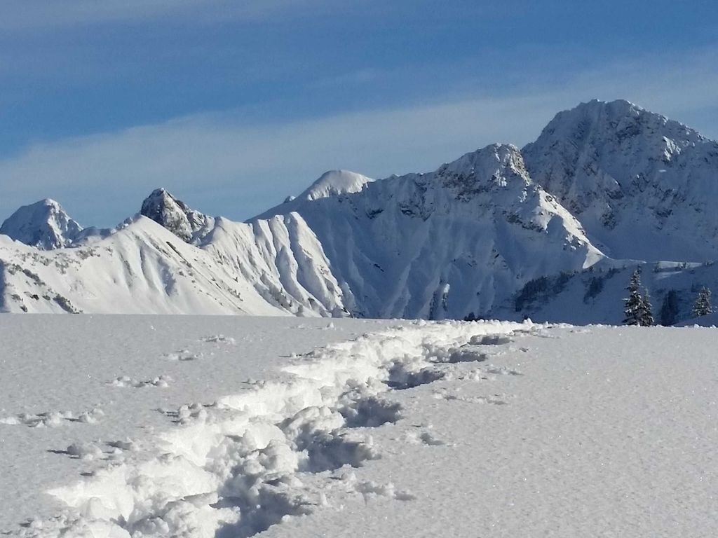 Schneeschuhwanderung