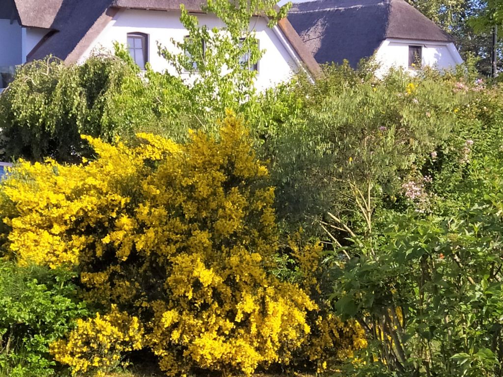 geschützte Terrassenseite