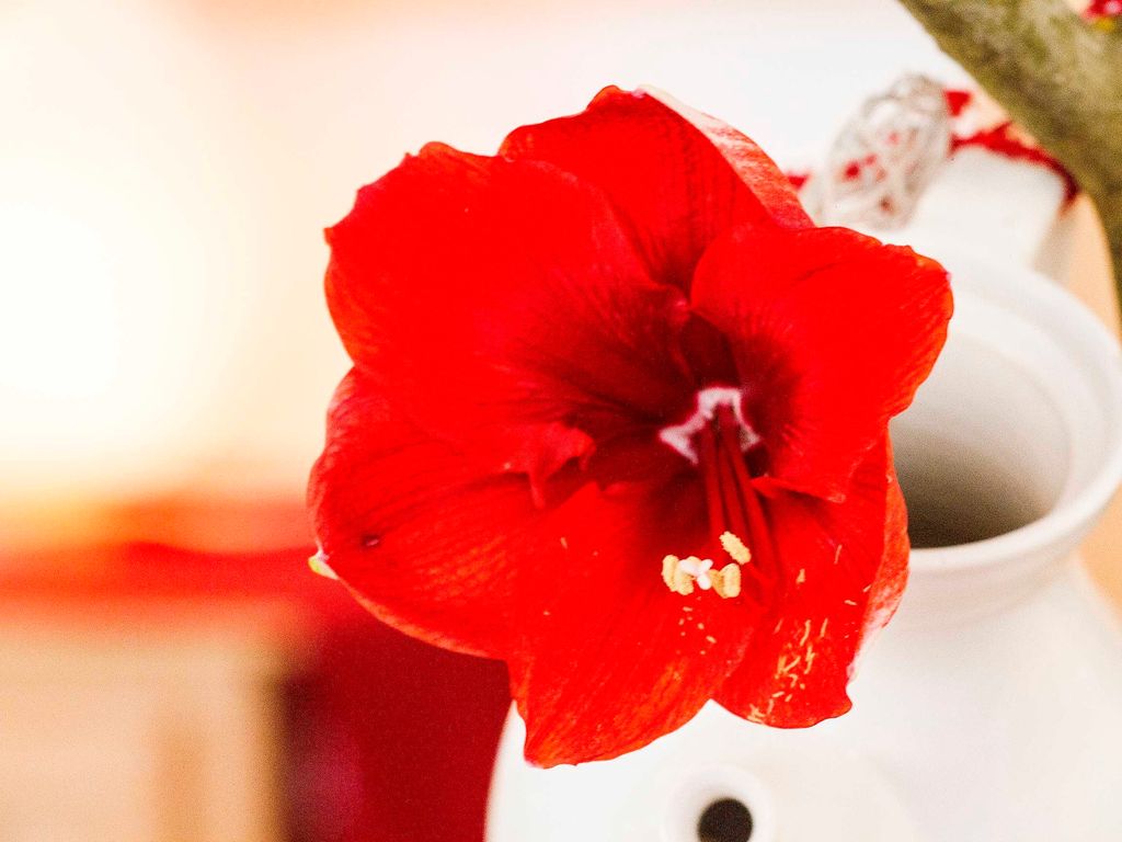 Blumenschmuck
