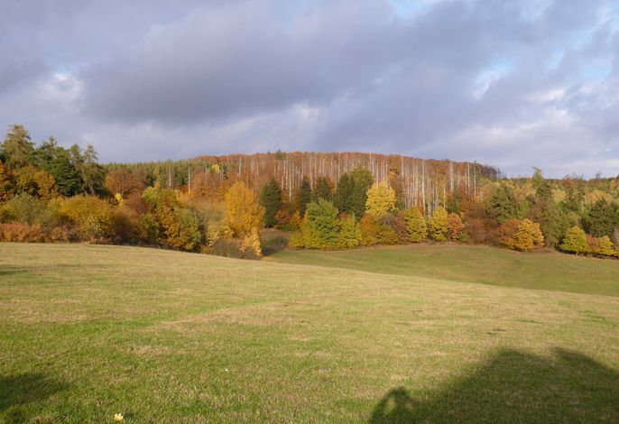 Bild 19