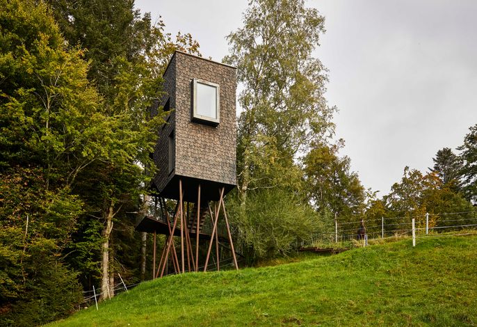 Baumhaus