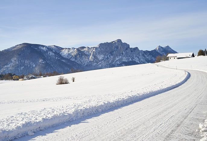 Bergblick Acht