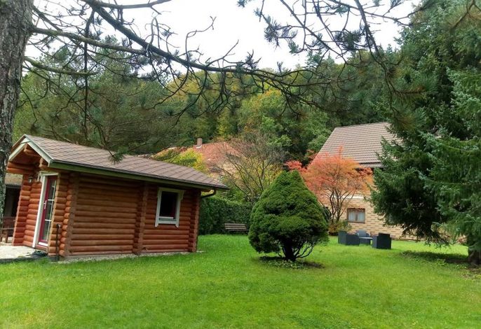 Bild 15