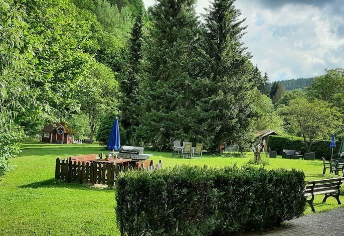 Bild 19