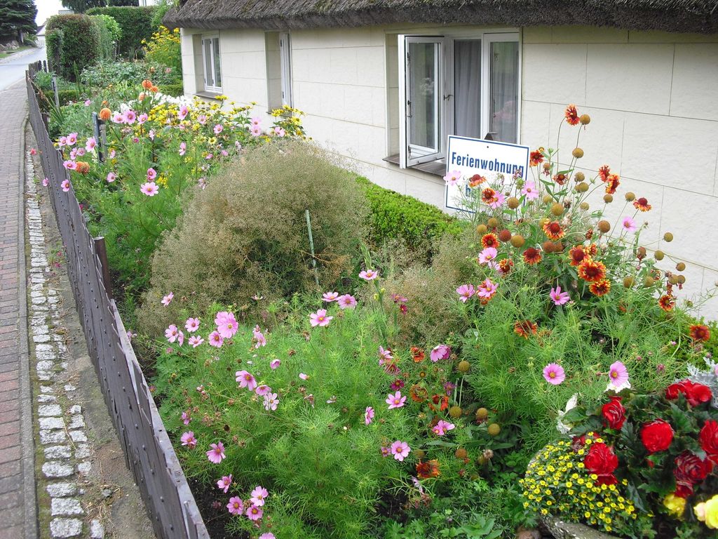 sommerlicher Vorgarten - Altes Fischerhaus