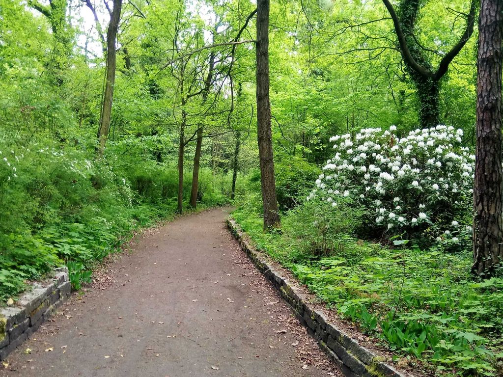 Stadtpark von Lauta