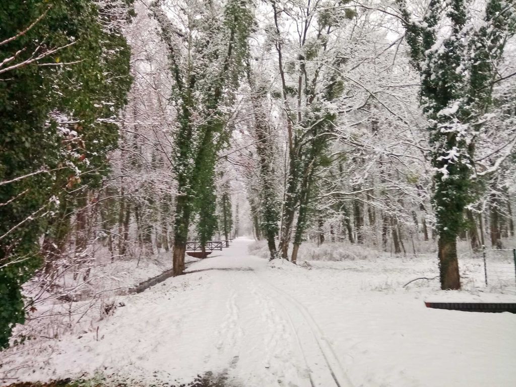 Stadtpark von Lauta tief verschneit