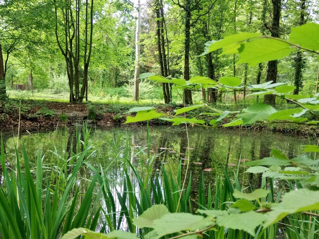 Stadtpark von Lauta
