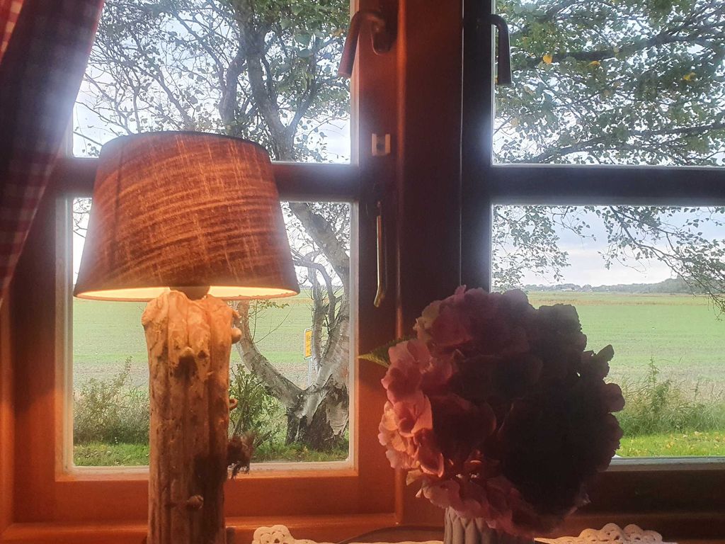 Blick aus dem Fenster