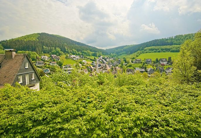 Bild 14