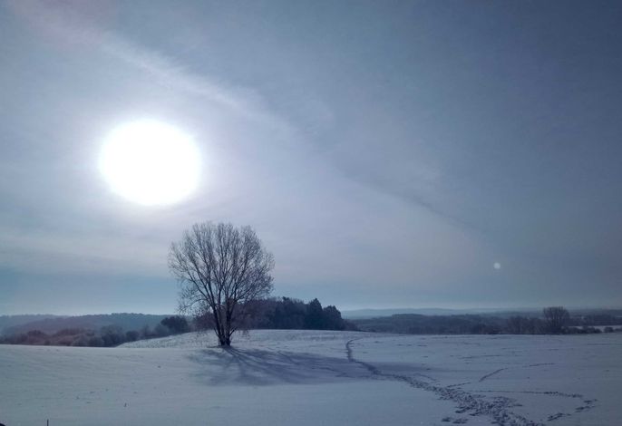 Bild 19