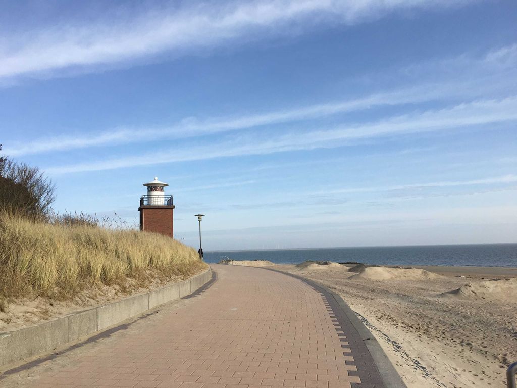 kleines Inselnest