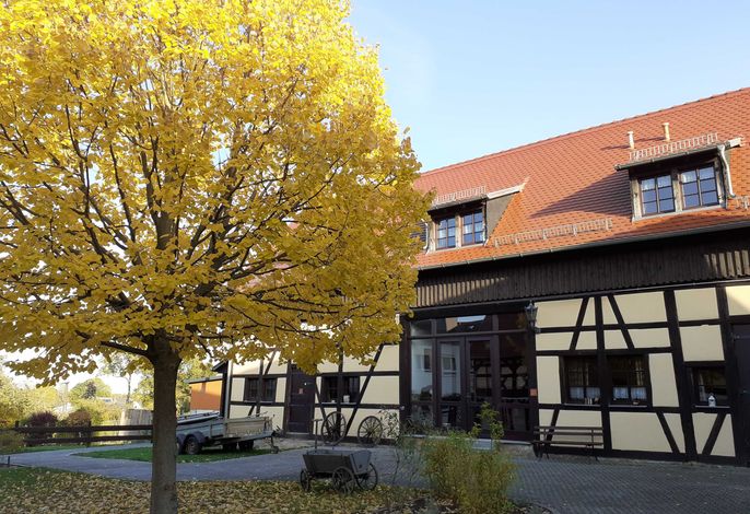 Bild 17