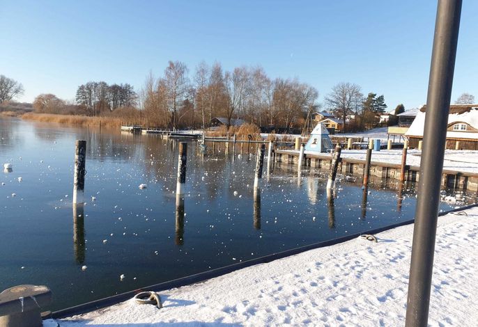 Bild 19