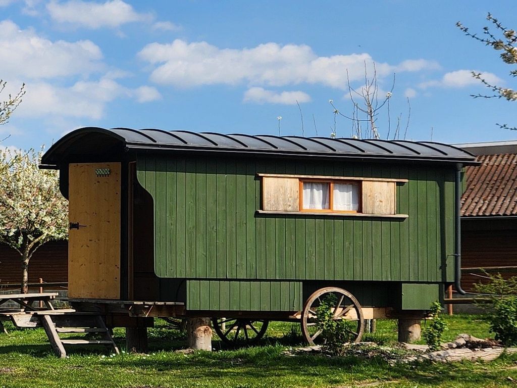 Schäferwagen grün