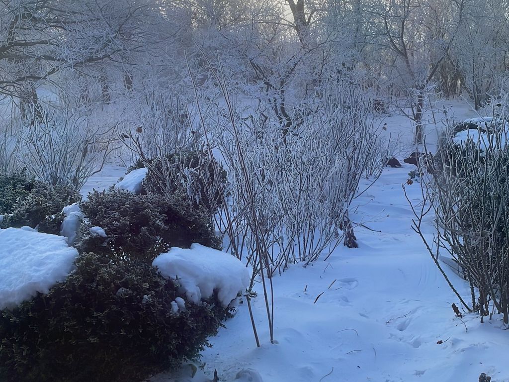 Garten im Winter