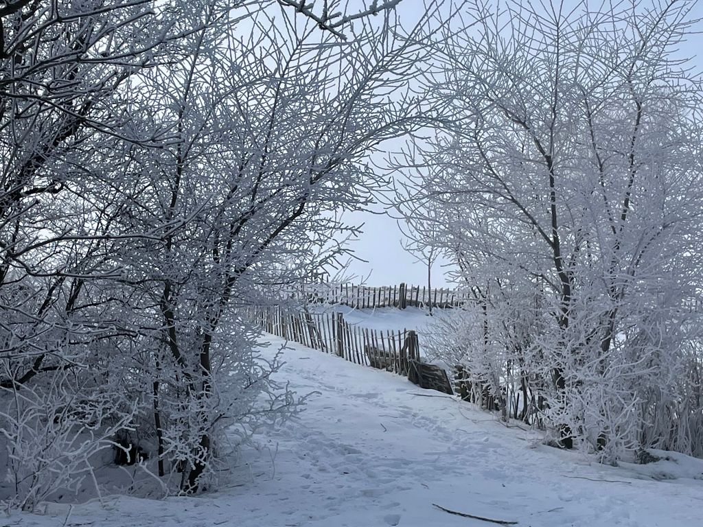 Winter
