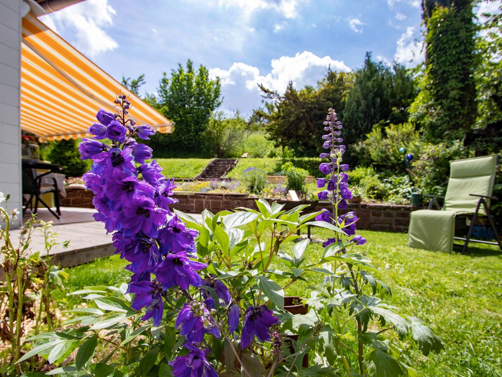 Paulas Blumen im Garten