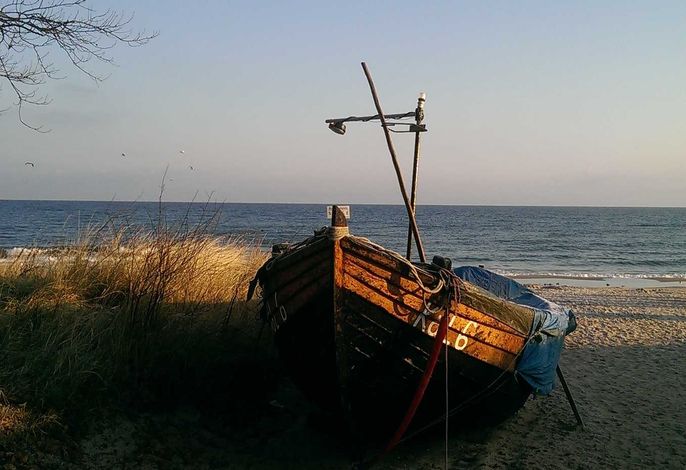 Bild 15