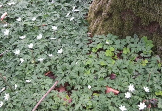 Bild 14