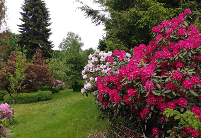Ferienwohnung Gartenblick