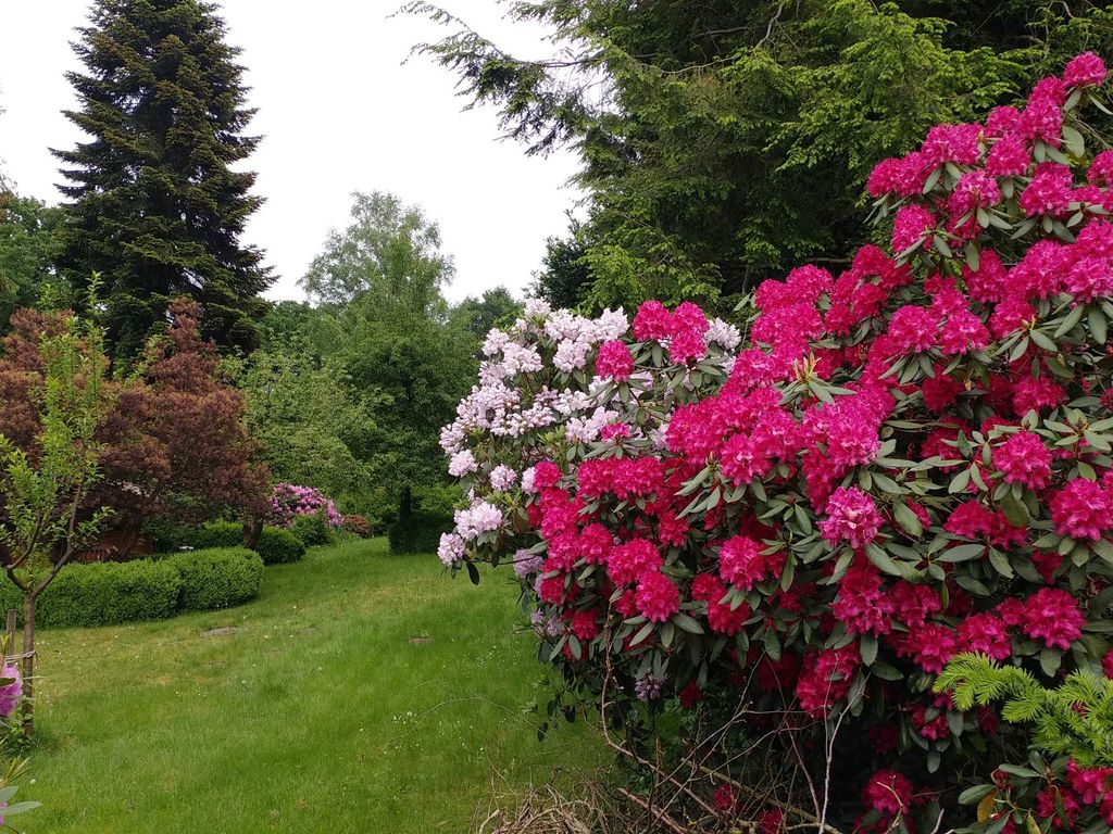 Der Garten