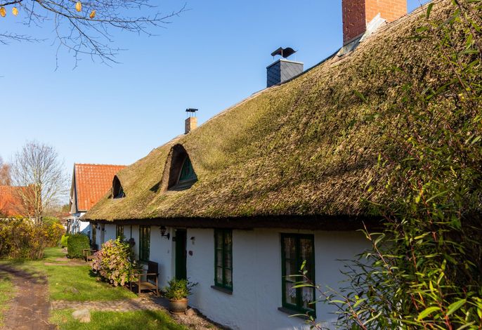 Ferienhaus 1D