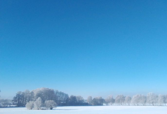 Bild 17