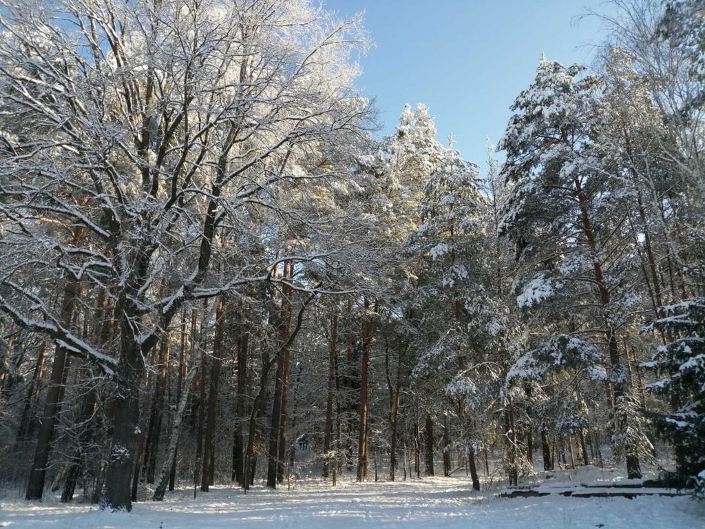 Winterlandschaft im Park Komptendorf