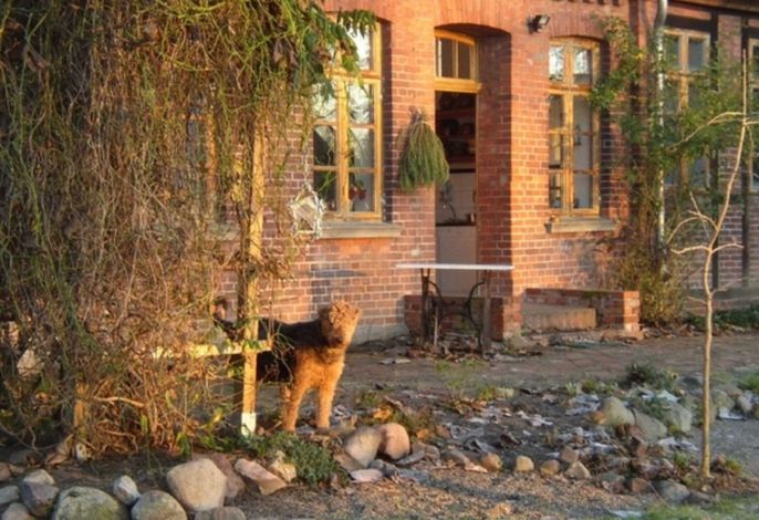 Fewo Elbtalaue Dat-Goepelhus – Foto 5