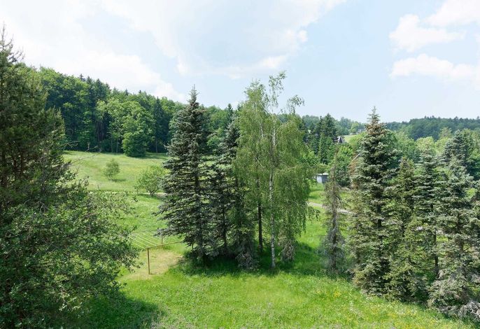 Bild 18