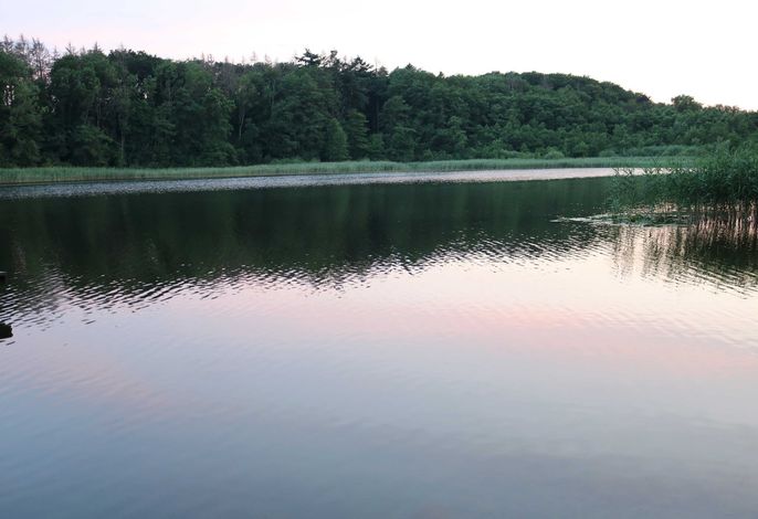 Schwandter See