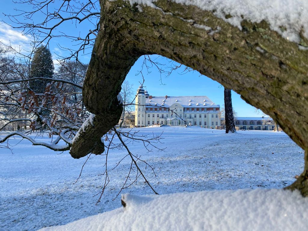 Schlosspark im Winter