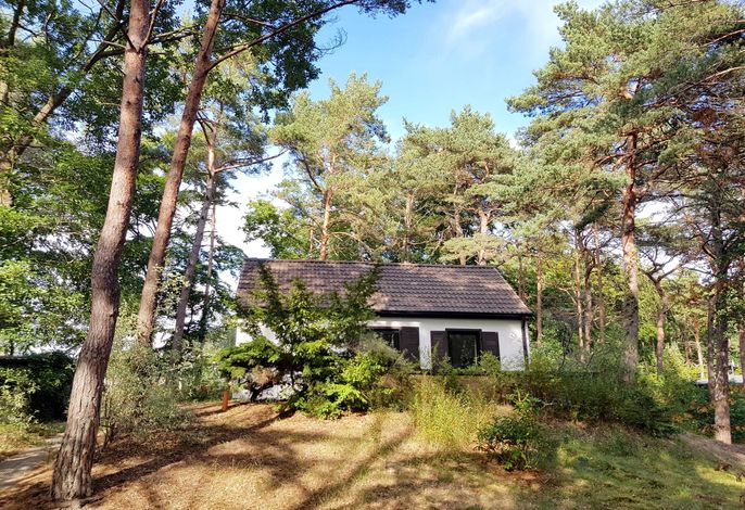 Strandhaus auf der Düne 1. Reihe