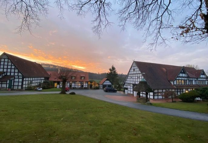 Bild 19