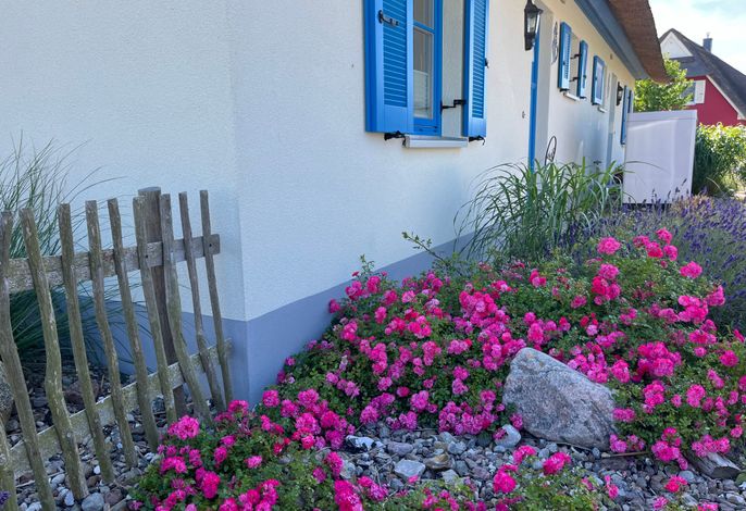 3-Raum-Ferienhaus (6 Personen) Lee