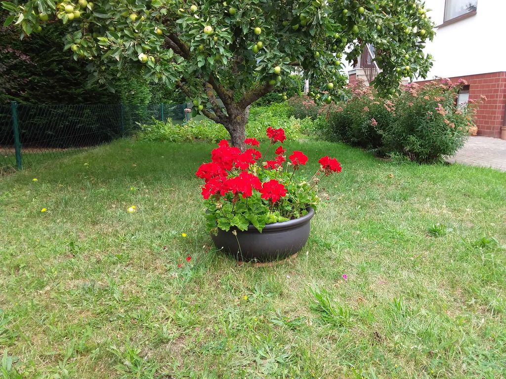 Gemeinschaftsgarten