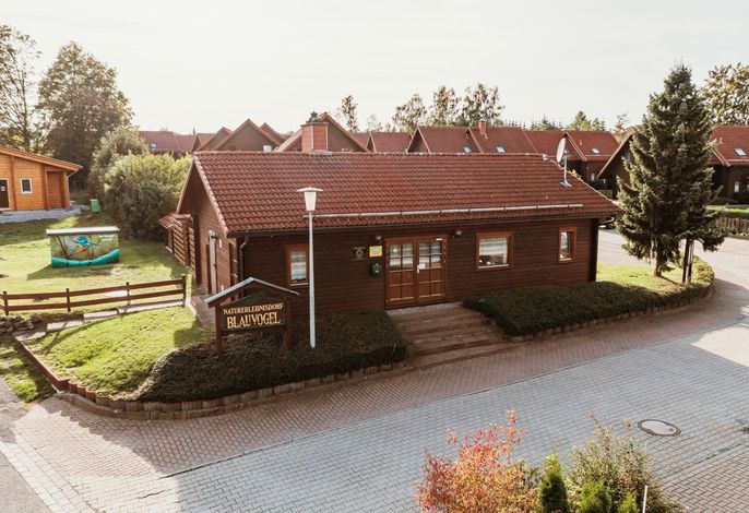Bild 12