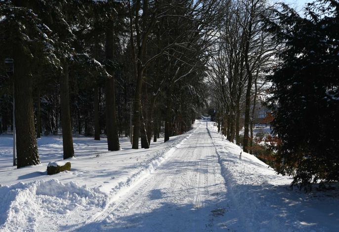 Bild 22