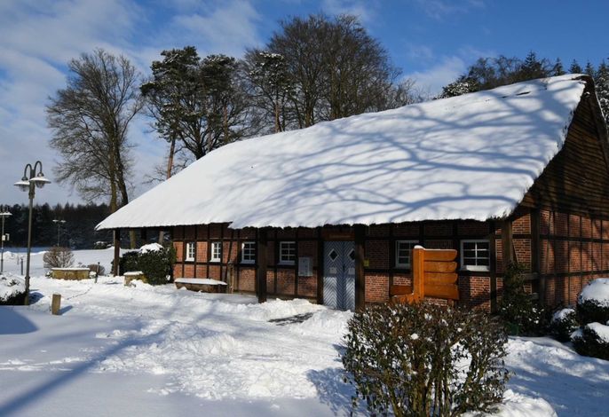 Bild 19