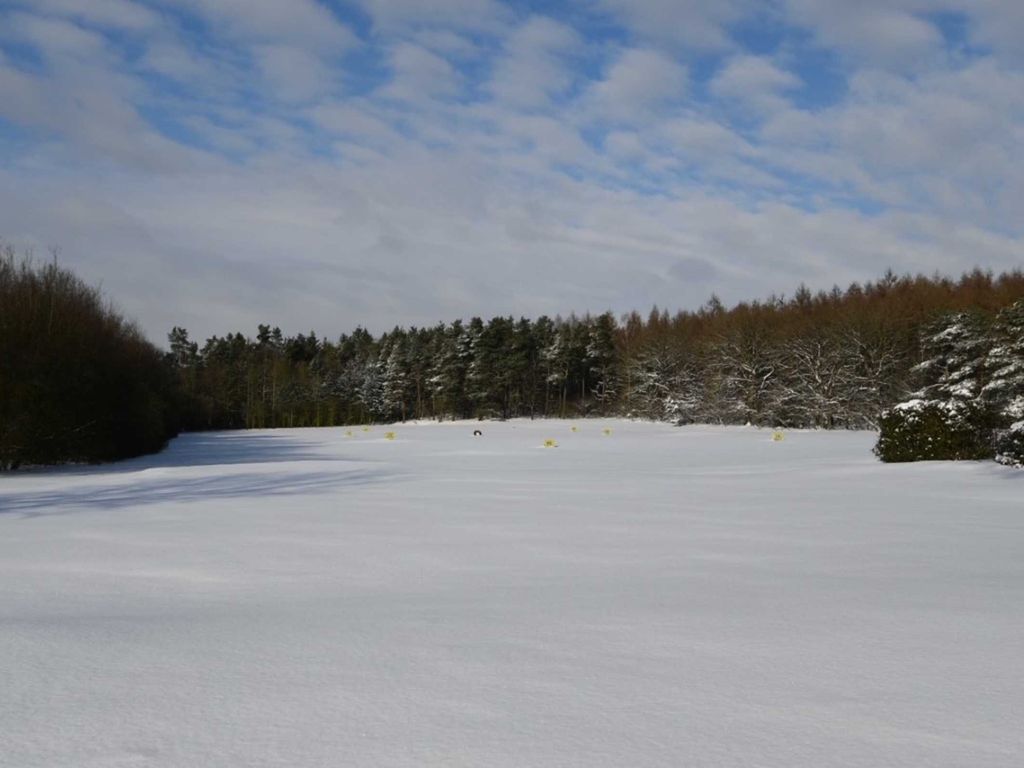 Golfplatz