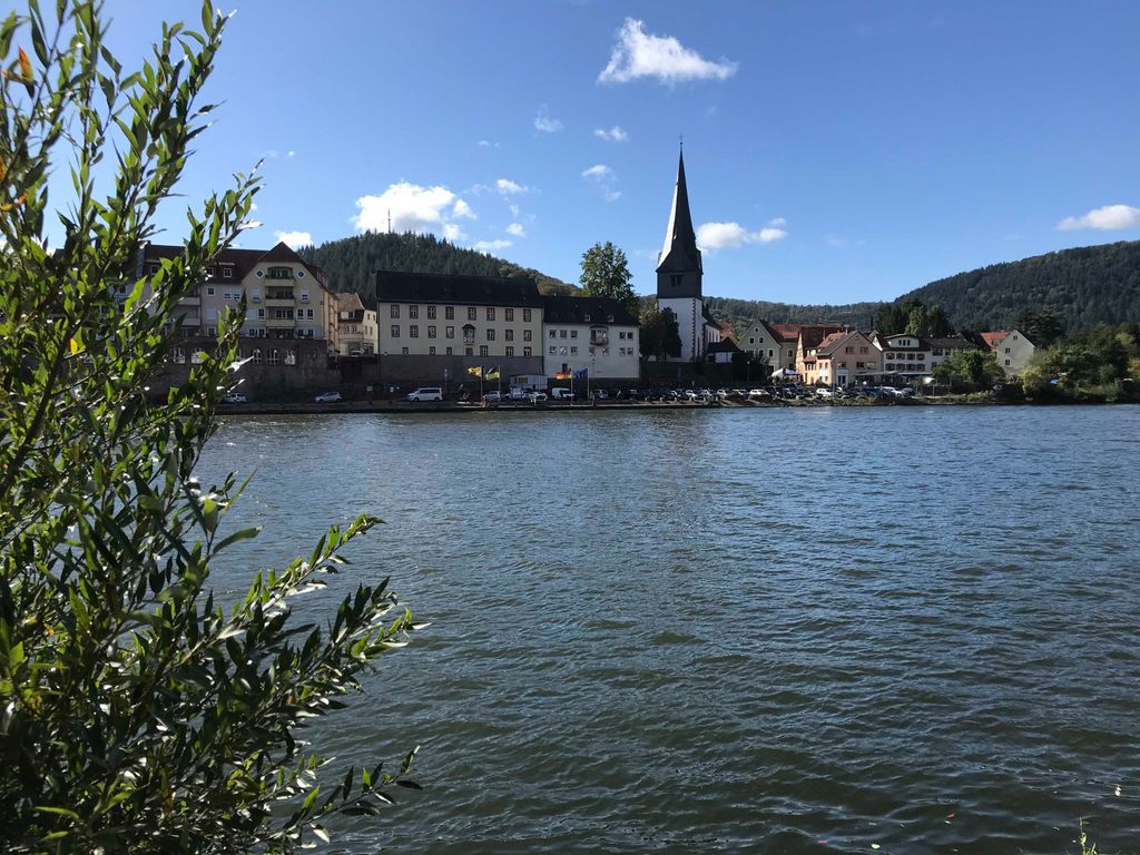 Blick auf Neckargemünd